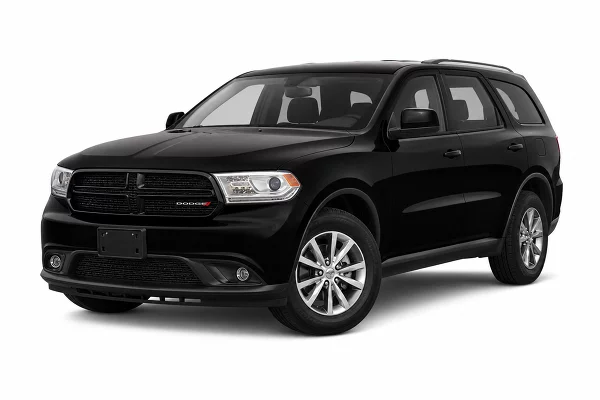 Used 2019 Dodge Durango Image