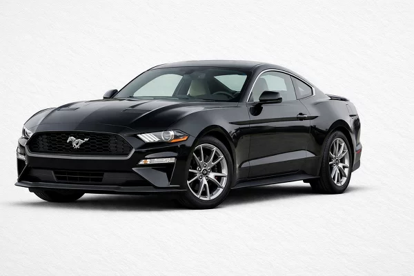 Used 2019 Ford Mustang Image