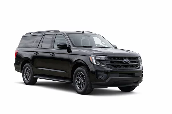 Used 2025 Ford Expedition Max Image