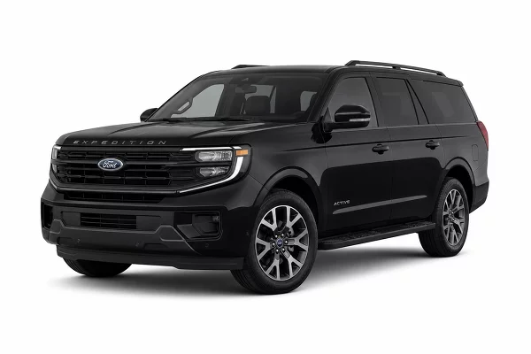 Used 2025 Ford Expedition Image