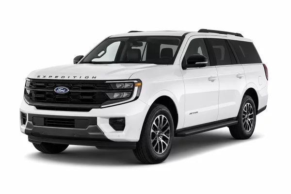 Used 2025 Ford Expedition Image