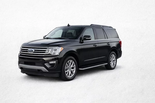 Used 2020 Ford Expedition Image