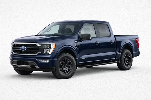 Used 2025 Ford F-150 Image