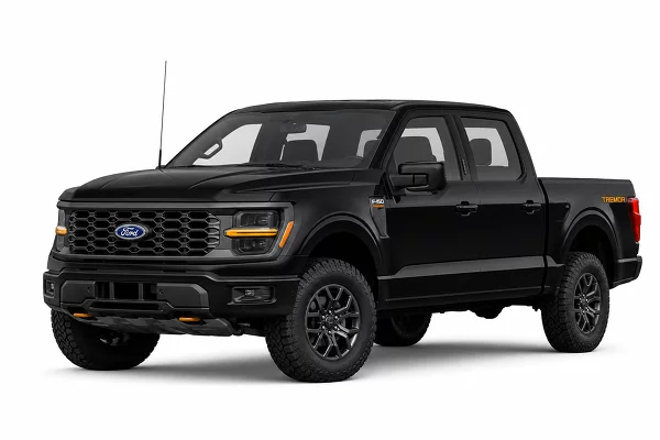Used 2025 Ford F-150 Image