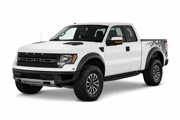 Used 2010 Ford F-150 Image