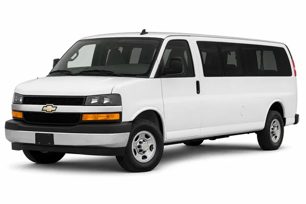 Used 2020 Chevrolet Express Passenger Image