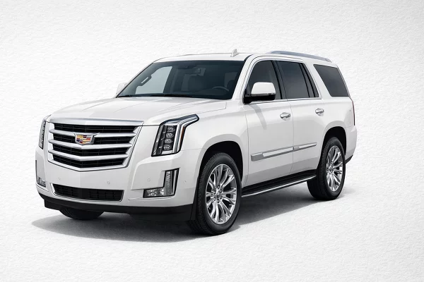 Used 2020 Cadillac Escalade Image