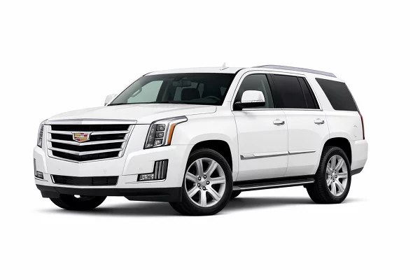 Used 2019 Cadillac Escalade Image