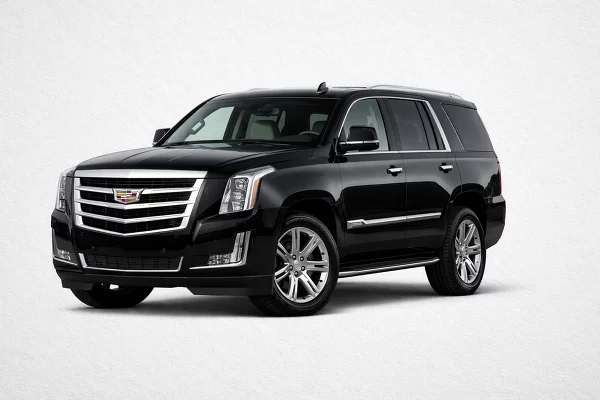Used 2020 Cadillac Escalade Image