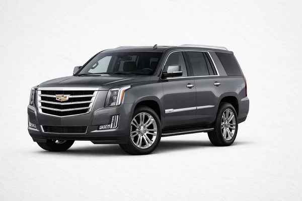 Used 2020 Cadillac Escalade Image