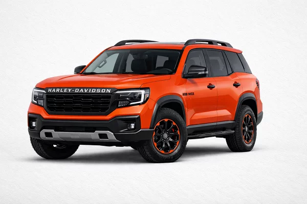 Used 2024 Harley Davidson BOB Image