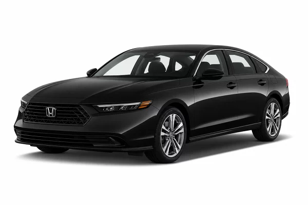 Used 2024 Honda Accord Sedan Image