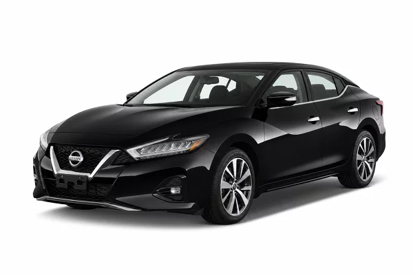Used 2019 Nissan Maxima Image