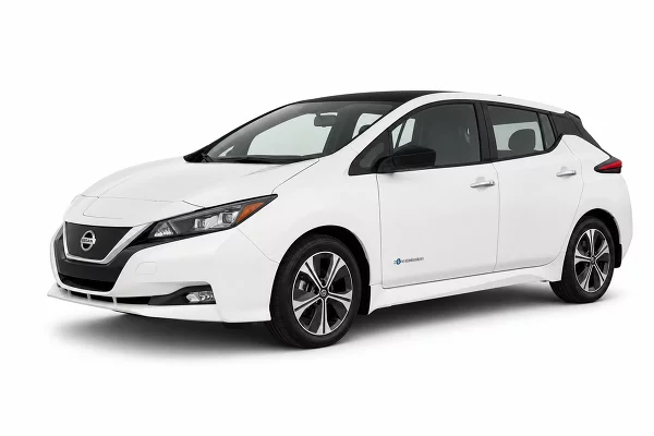 Used 2019 Nissan Leaf Image