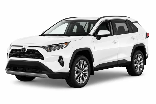 Used 2019 Toyota RAV4 Image