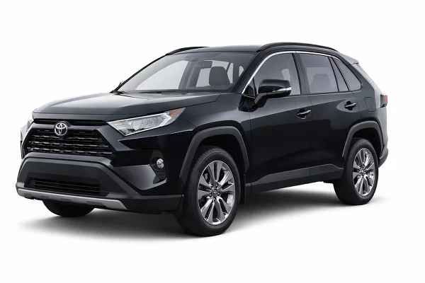 Used 2019 Toyota RAV4 Image