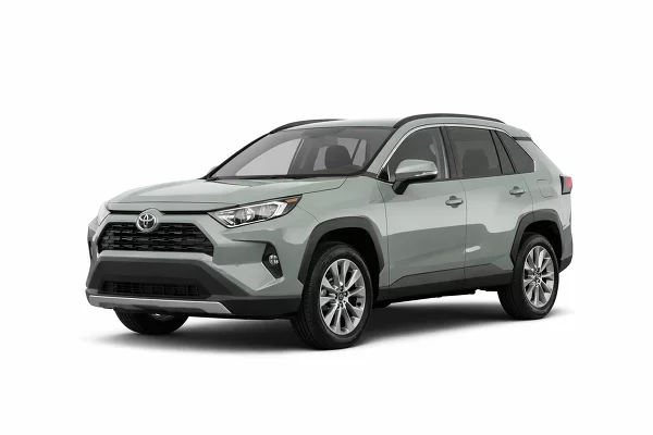 Used 2019 Toyota RAV4 Image