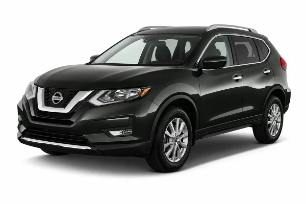 Used 2019 Nissan Rogue Image
