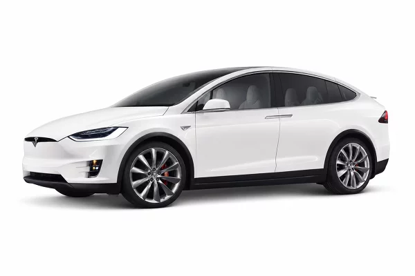 Used 2019 Tesla Model X Image