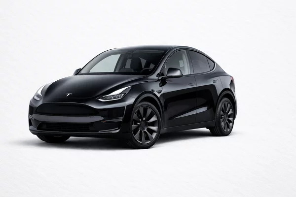 Used 2023 Tesla Model Y Image