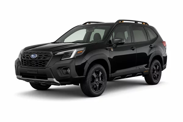 Used 2024 Subaru Forester Image