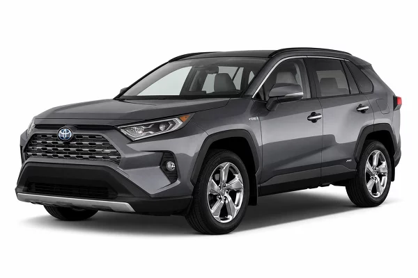 Used 2019 Toyota RAV4 Hybrid Image