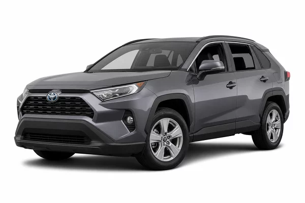 Used 2019 Toyota RAV4 Image
