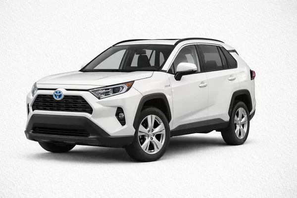 Used 2019 Toyota RAV4 Image