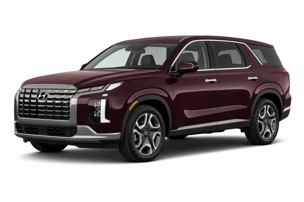 Used 2023 Hyundai Palisade Image