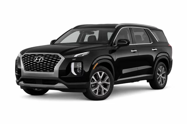 Used 2022 Hyundai Palisade Image