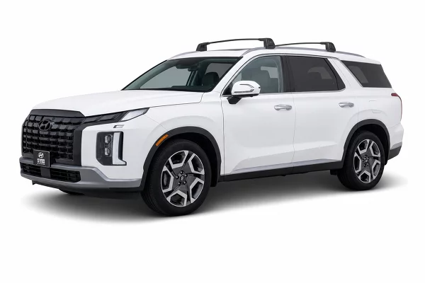 Used 2025 Hyundai Palisade Image