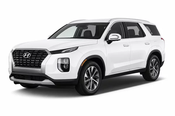 Used 2022 Hyundai Palisade Image