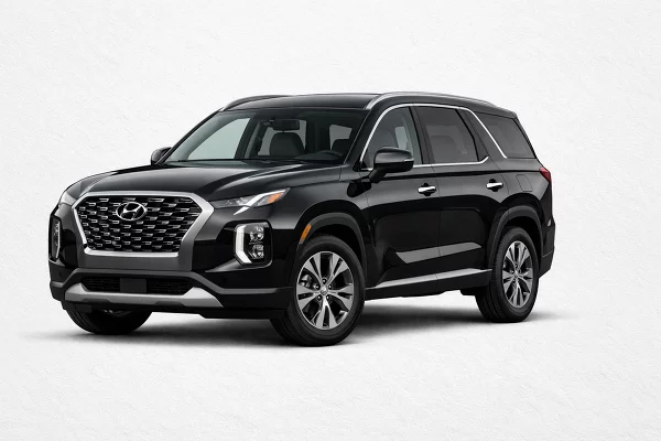 Used 2022 Hyundai Palisade Image