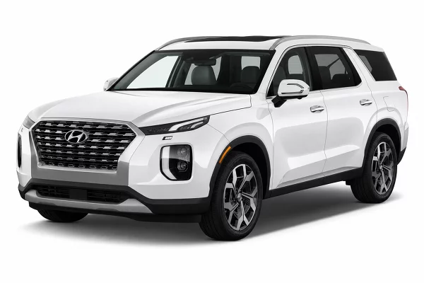 Used 2022 Hyundai Palisade Image