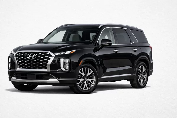 Used 2023 Hyundai Palisade Image