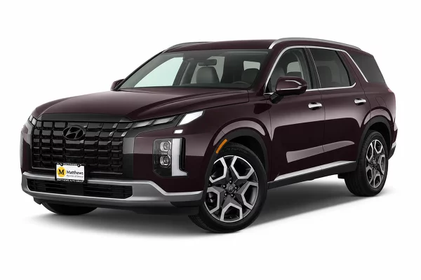 Used 2023 Hyundai Palisade Image