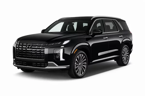 Used 2023 Hyundai Palisade Image