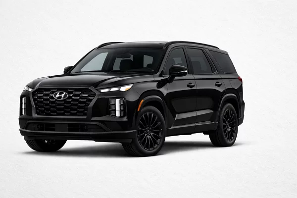 Used 2025 Hyundai Palisade Image