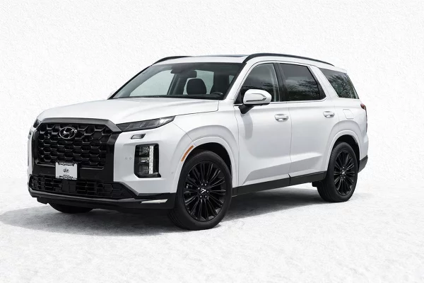 New 2025 Hyundai Palisade Image