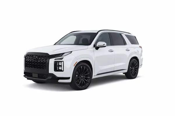 Used 2024 Hyundai Palisade Image