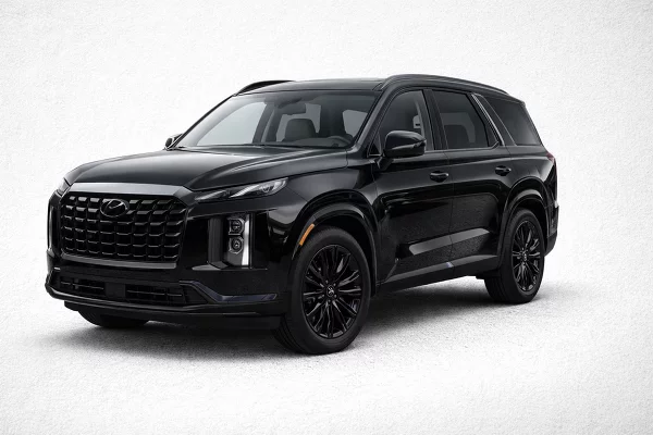 New 2025 Hyundai Palisade Image