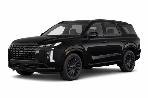 Used 2024 Hyundai Palisade Image