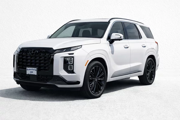 New 2025 Hyundai Palisade Image