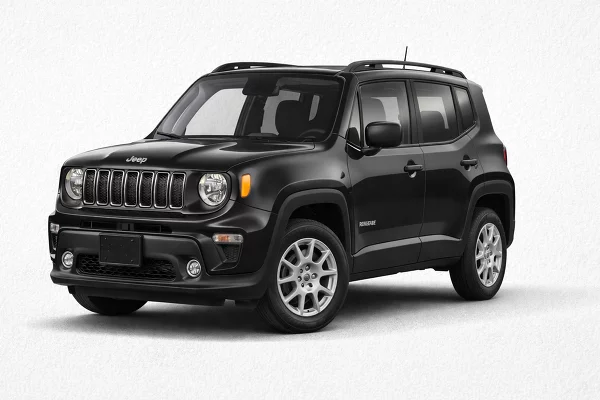 Used 2019 Jeep Renegade Image